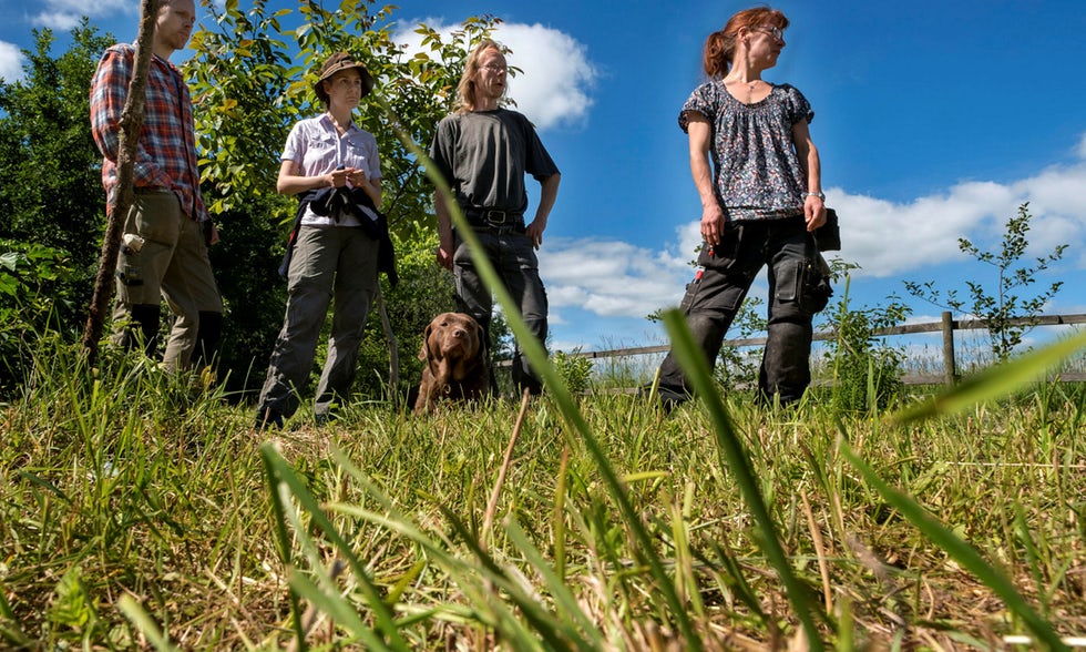 Fyra odlare står och inspekterar marken. I mitten av odlarna är en hund.