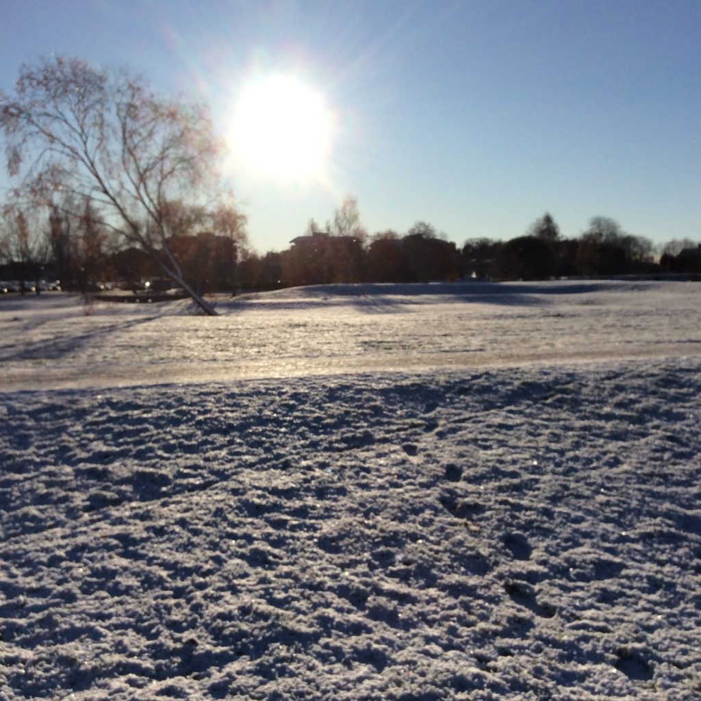 Solen står lågt på himlen. Den nuddar nästan trädtopparna och hustaken, borta vid horisonten. Framför dem ligger snön på marken.