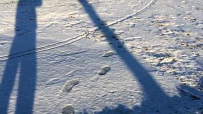 Två långa, blå skuggor. Ett barn och ett träd. På marken ligger ett tunt lager snö.