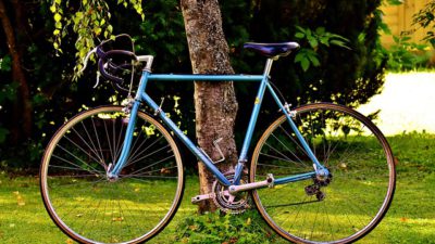 En blå cykel står lutad mot ett träd.