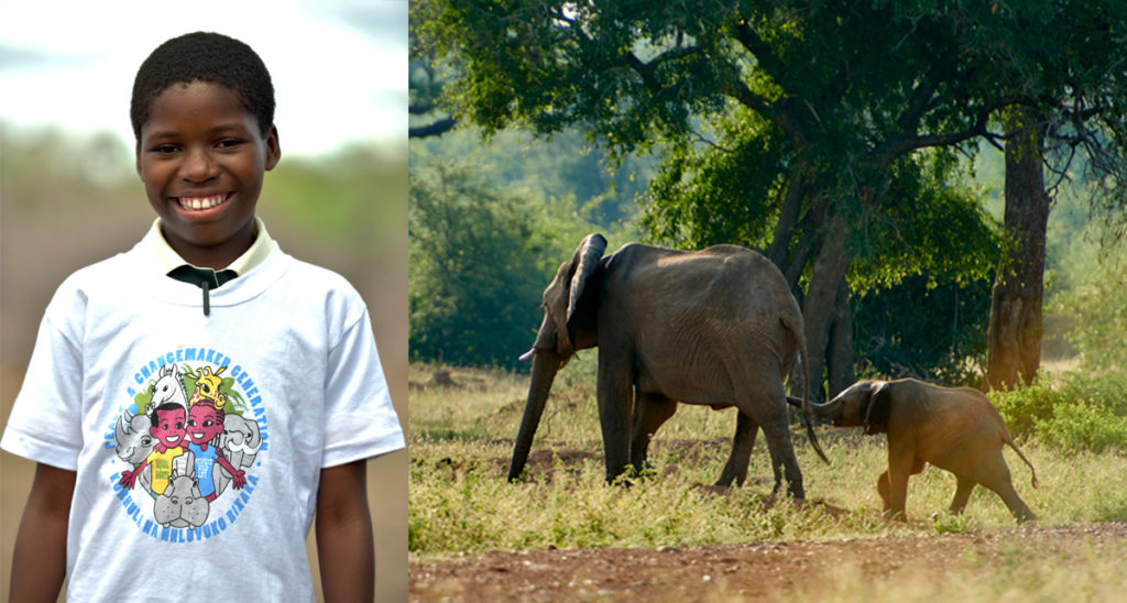 Ett skrattande barn och två elefanter i ett collage.