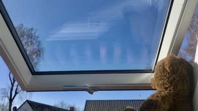 En nalle i ett fönster