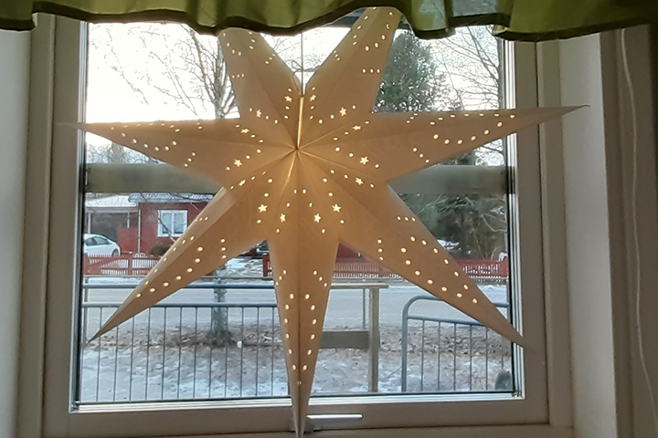 Foto på en vit julstjärna som hänger i ett fönster.