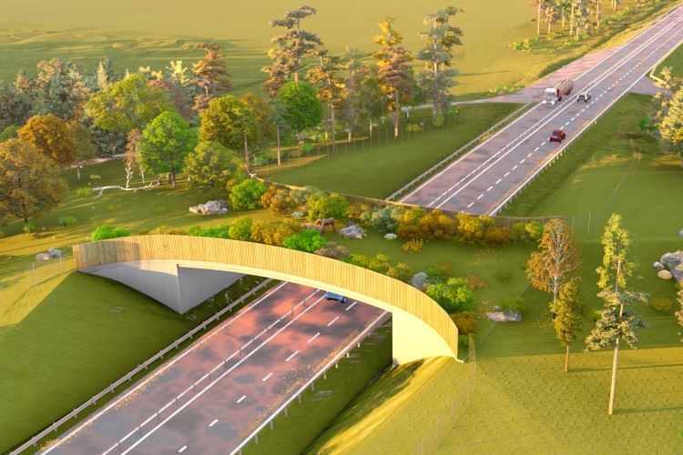En animation av hur den kommande viltbron ska se ut. Bron går över en trafikerad väg och det växer gräs på den.